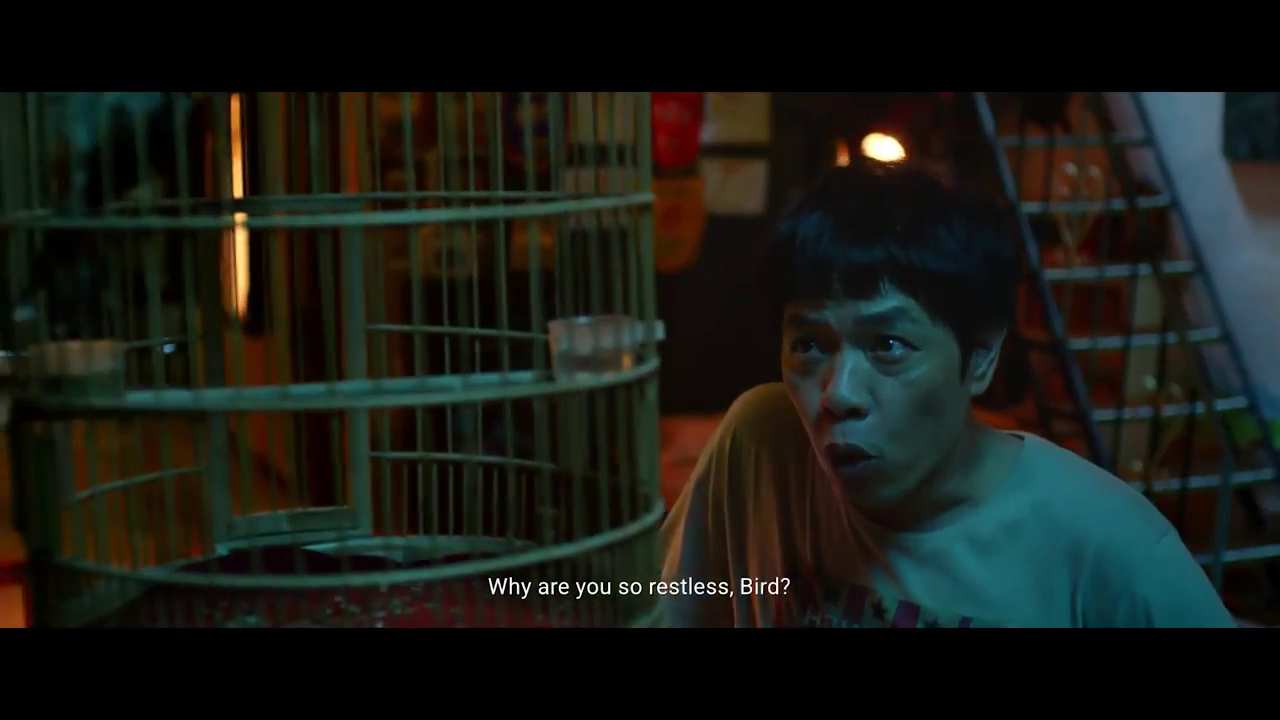 trailer chàng vợ của em