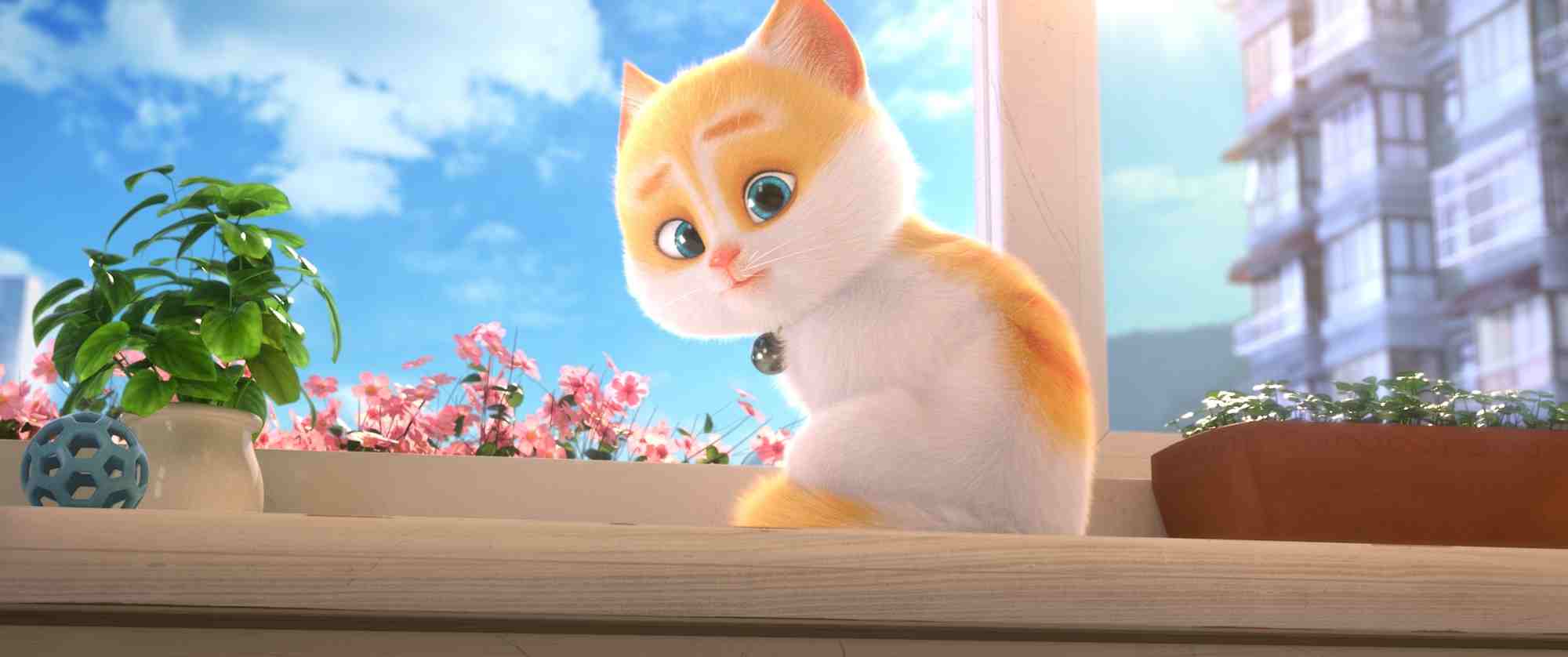 mèo mập đi phượt