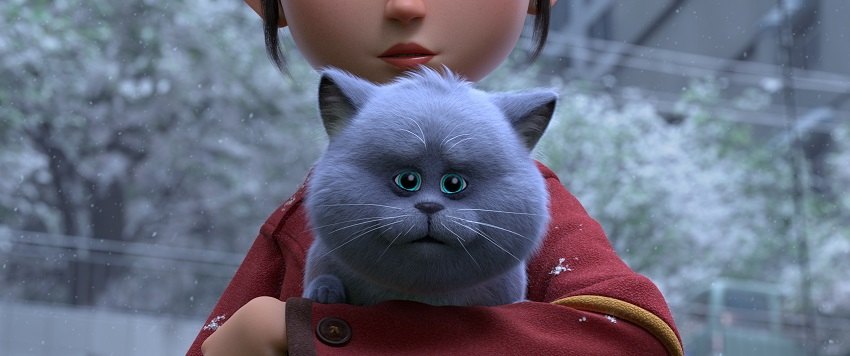 mèo mập đi phượt
