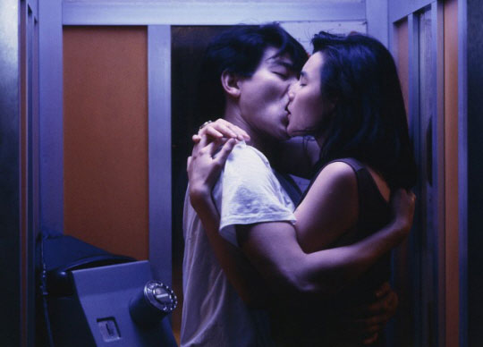 Vương Gia Vệ