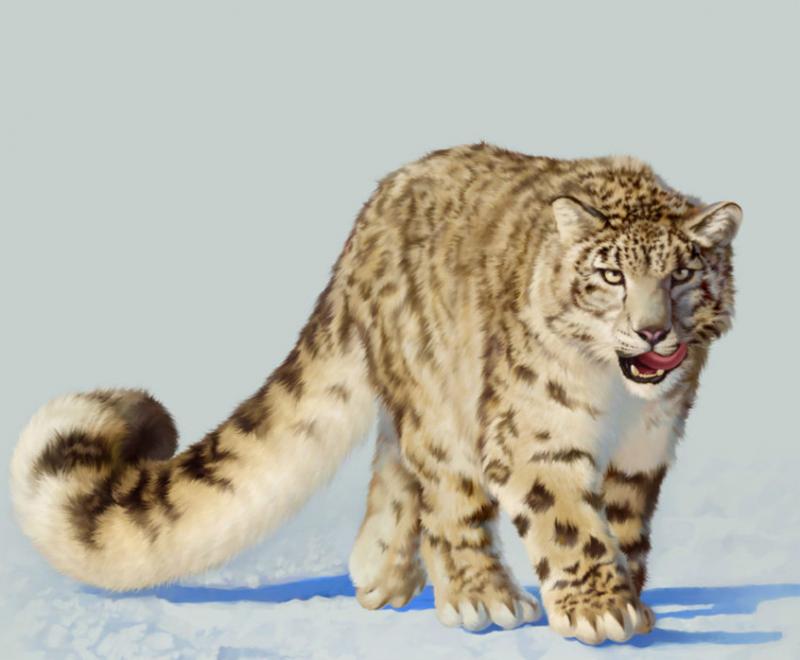 loài vật mạnh nhất