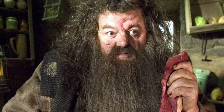 Bác Hagrid