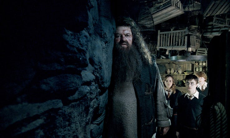 Bác Hagrid