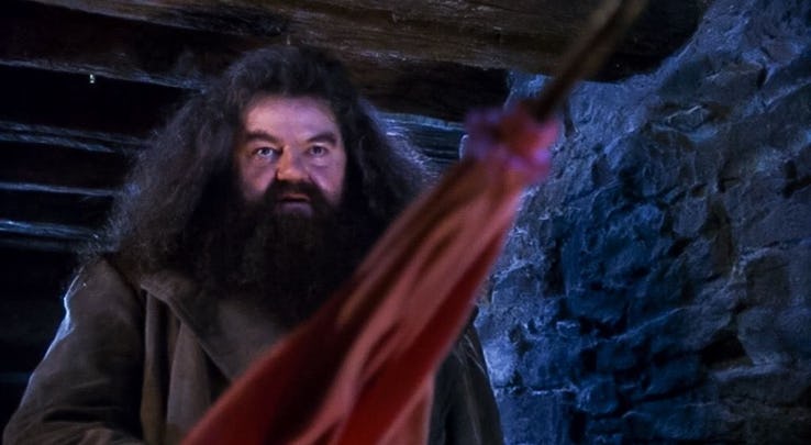 Bác Hagrid