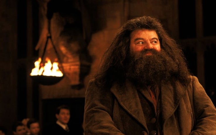 Bác Hagrid