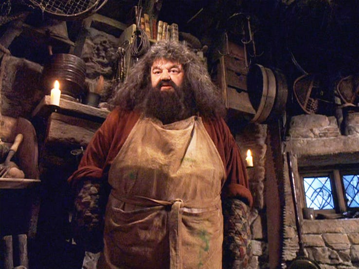 Bác Hagrid