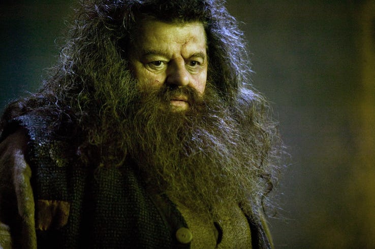 Bác Hagrid