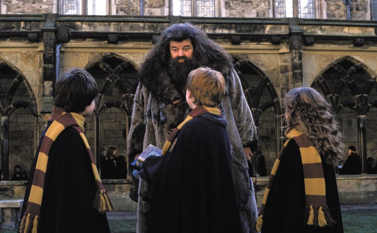 Bác Hagrid