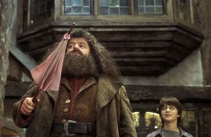 Bác Hagrid