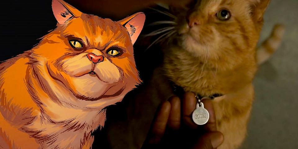 Mèo Goose của Captain Marvel