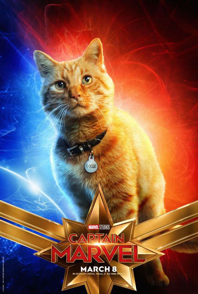 Mèo Goose của Captain Marvel