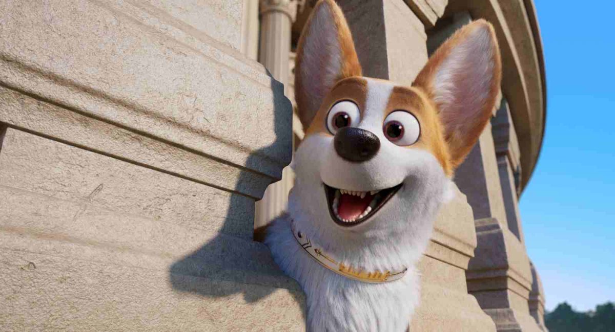 Corgi: Những Chú Chó Hoàng Gia