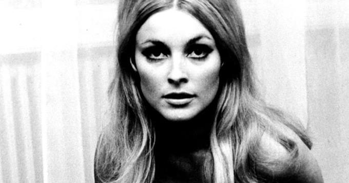 sharon-tate-next-phim-9