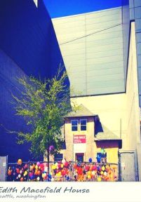 phim hoạt hình Up