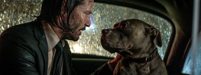 thành công của John Wick 3