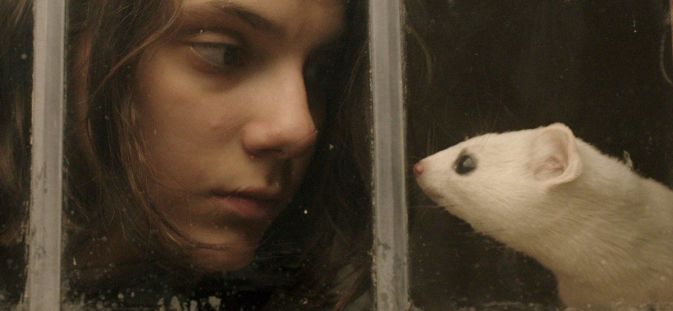 phim His Dark Materials