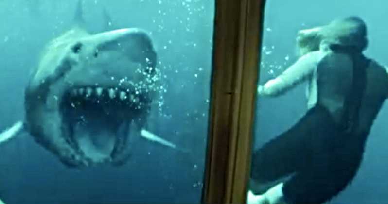 47-Meters-Down