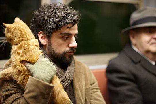 phim Inside Llewyn Davis