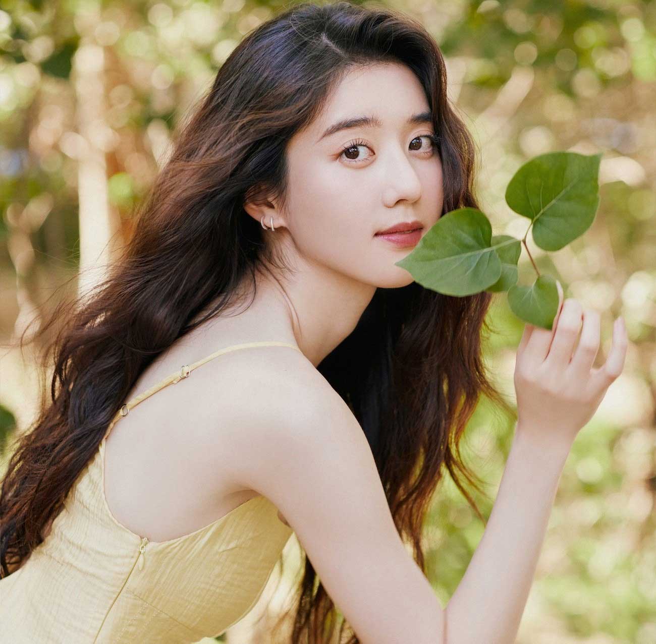 ly-khai-hinh-bia-dat