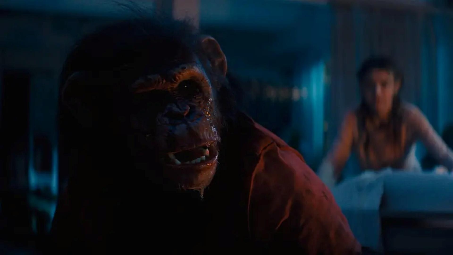 Primate-2026-review