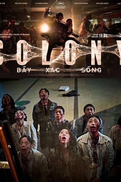 bay-xac-song-colony